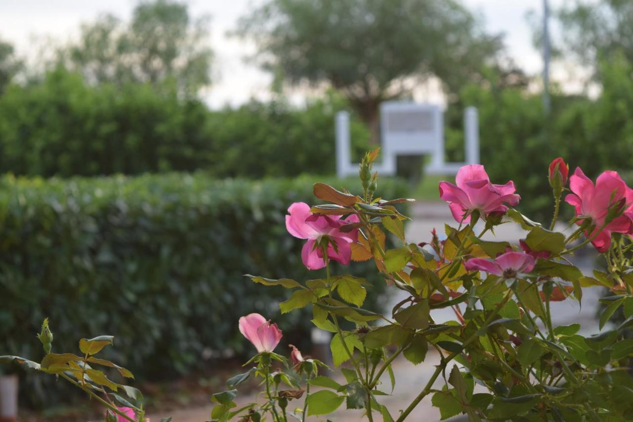 Agri-Resort Luxury Farm Marigliano Eksteriør billede
